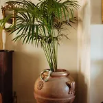 Bed & Breakfast Al Re Cesena