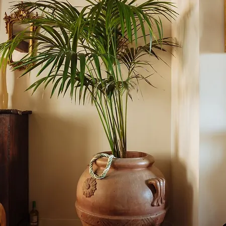 Bed & Breakfast Al Re Cesena